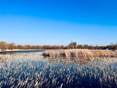 -野鸭湖国家湿地公园