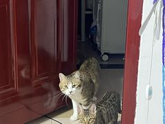 -芭比堂动物医院广州顽皮分院