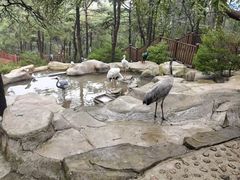 -燕塞湖鸟语林景区