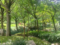 -悦雅居·老广州老味道(长湖店)