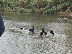 -前关湿地公园