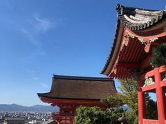 -有栖山 清光院 清水寺