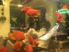 -悦百味·品质川菜(橄榄郡店)