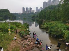 -重庆彩云湖湿地公园