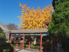 -有喜胶东小馆(太申祥和店)