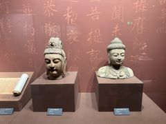 -温州博物馆