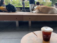 -SAANCI山池咖啡(海上世界文化艺术中心店)