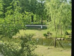 -黄海国家森林公园