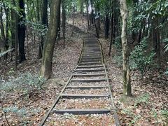 -南山植物园
