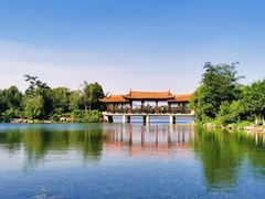 -洛龙公园