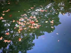 -北京西山国家森林公园