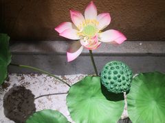 -群英会·三国菜(曹魏古城店)