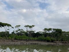 -东寨港红树林旅游区