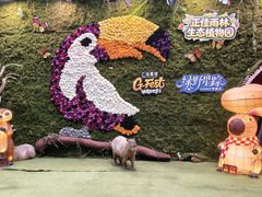 -正佳雨林生态植物园