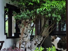-郑和公园