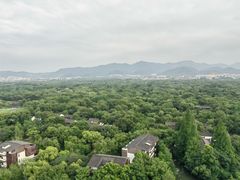 -西溪国家湿地公园