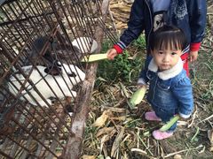 iphone_upload_pic-开心庄园
