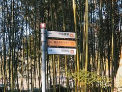 -兰亭风景区