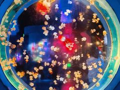 -太平洋海底世界