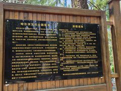 -哈尔滨文化公园