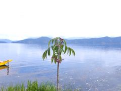 -丽江泸沽湖景区