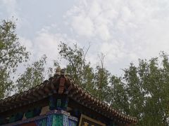 -莲花池公园