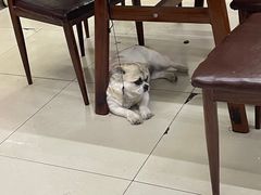 -翟氏天天小吃(上东街区店)