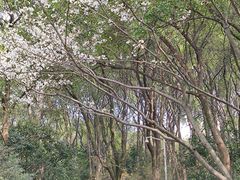 -杭州半山国家森林公园