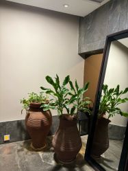 -禾颜社·精致美容