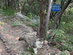 -棋盘山风景区