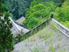-潭柘寺景区