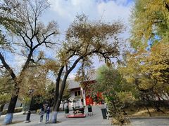 -哈尔滨极乐寺
