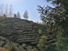 -信阳灵山风景区