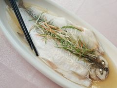 清蒸太湖白鱼-天福苑(崇宁路店)