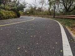 -宝界山林公园