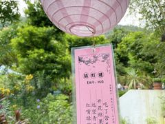 -青青世界