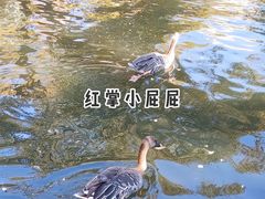 -昆明动物园