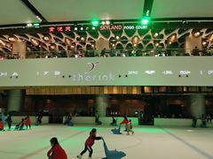 -TheRink大零溜冰场(IFS国金中心店)