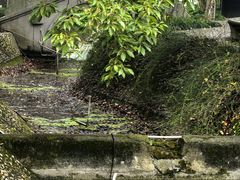 -丝绸小镇荻港古村