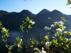 -天台山赤城山景区