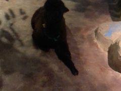 -zoonana室内动物园(东方福来德店)