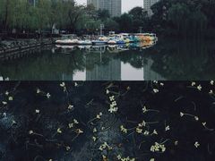 -杭州城北体育公园