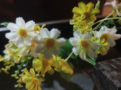 -华夏良子·足道SPA艾灸(王府井店)