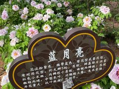 -洛阳市隋唐城遗址植物园