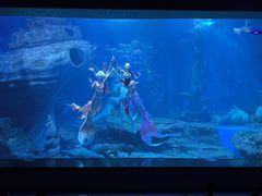 -多彩贵州城极地海洋世界