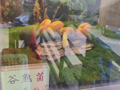 -七采菌园·野生菌石锅鱼(环城北路店)