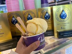 -Dooley's Premium Ice Cream