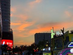 -老板恋上鱼(恒隆广场店)