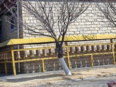 -济南国际园博园