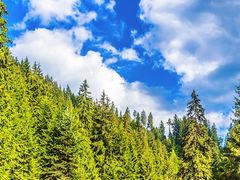 -南山特攻真人CS户外露营轰趴拓展基地